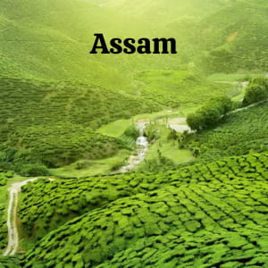 Assam