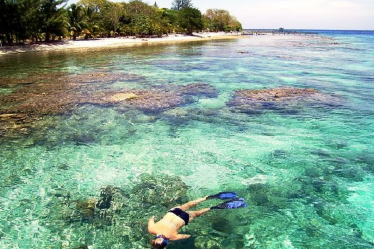 1. Utila Island Honduras
