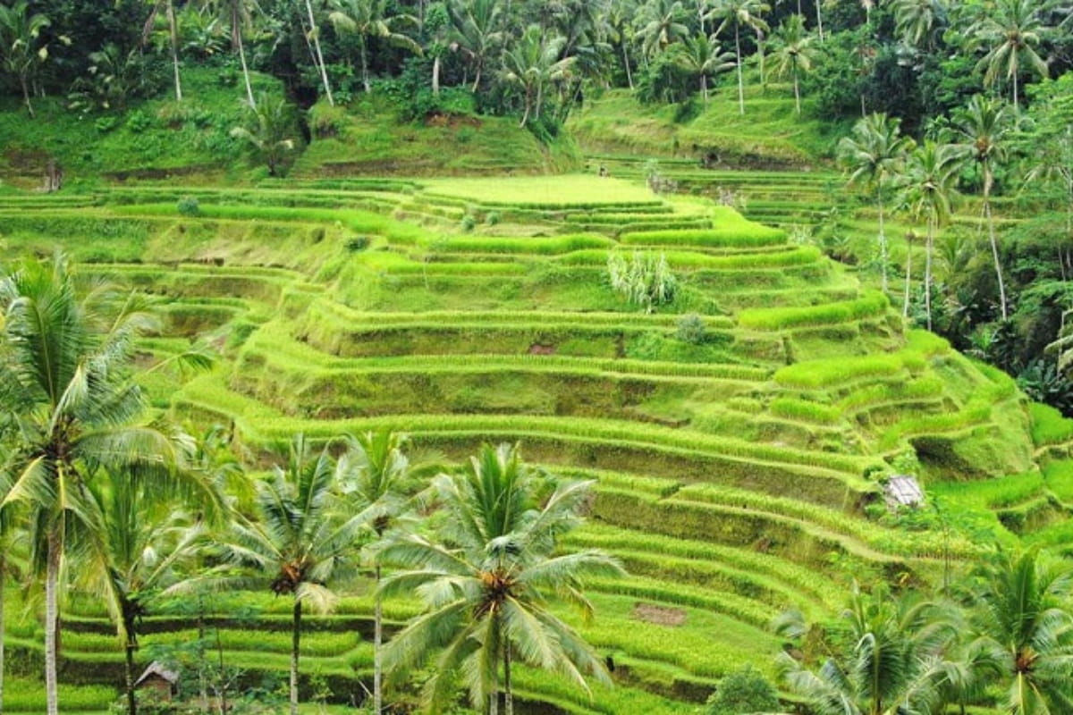 14. Bali Indonesia