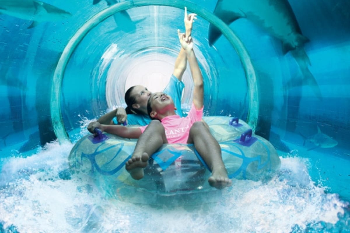 6 The Tank Las Vegas