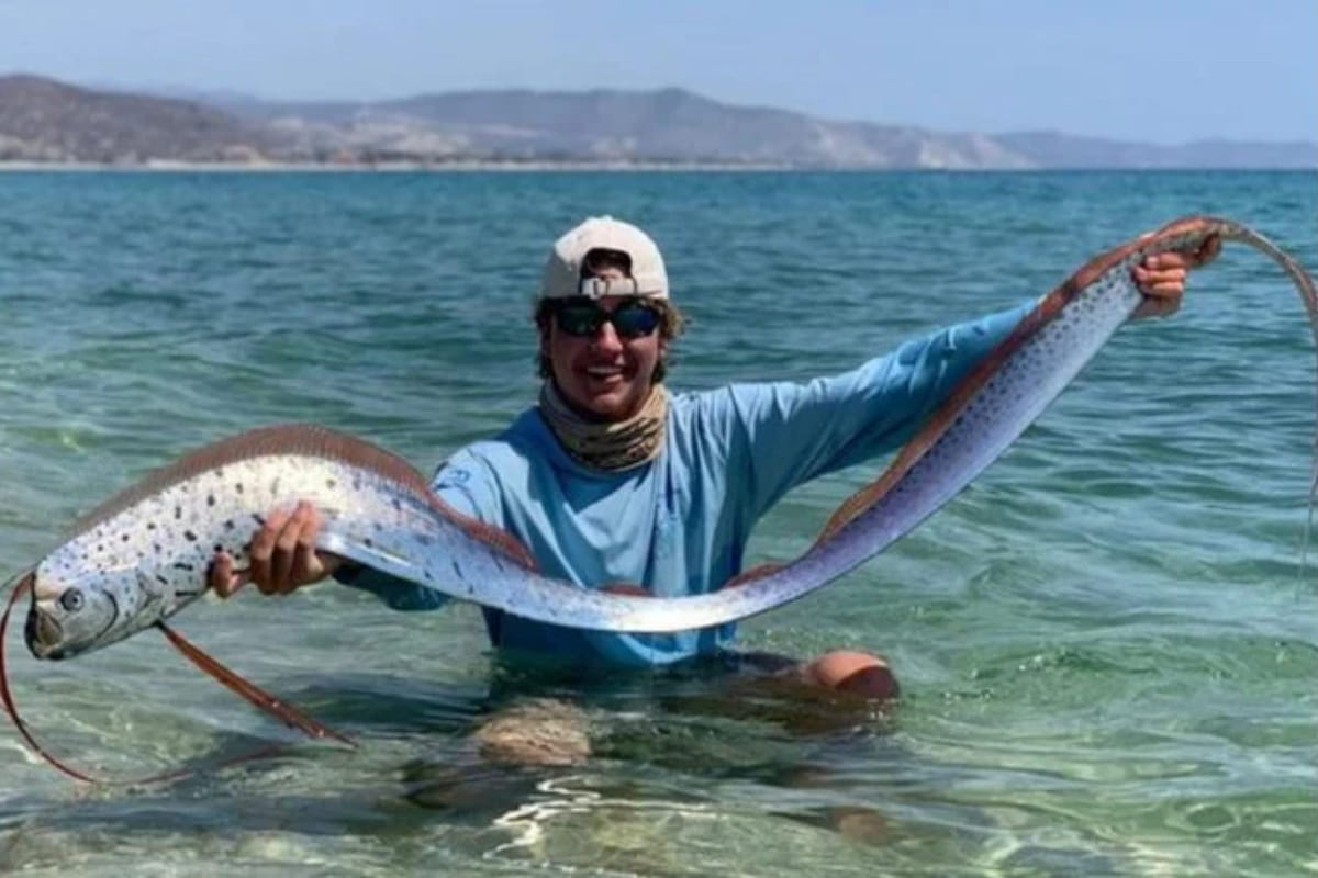 8. Sea Serpents