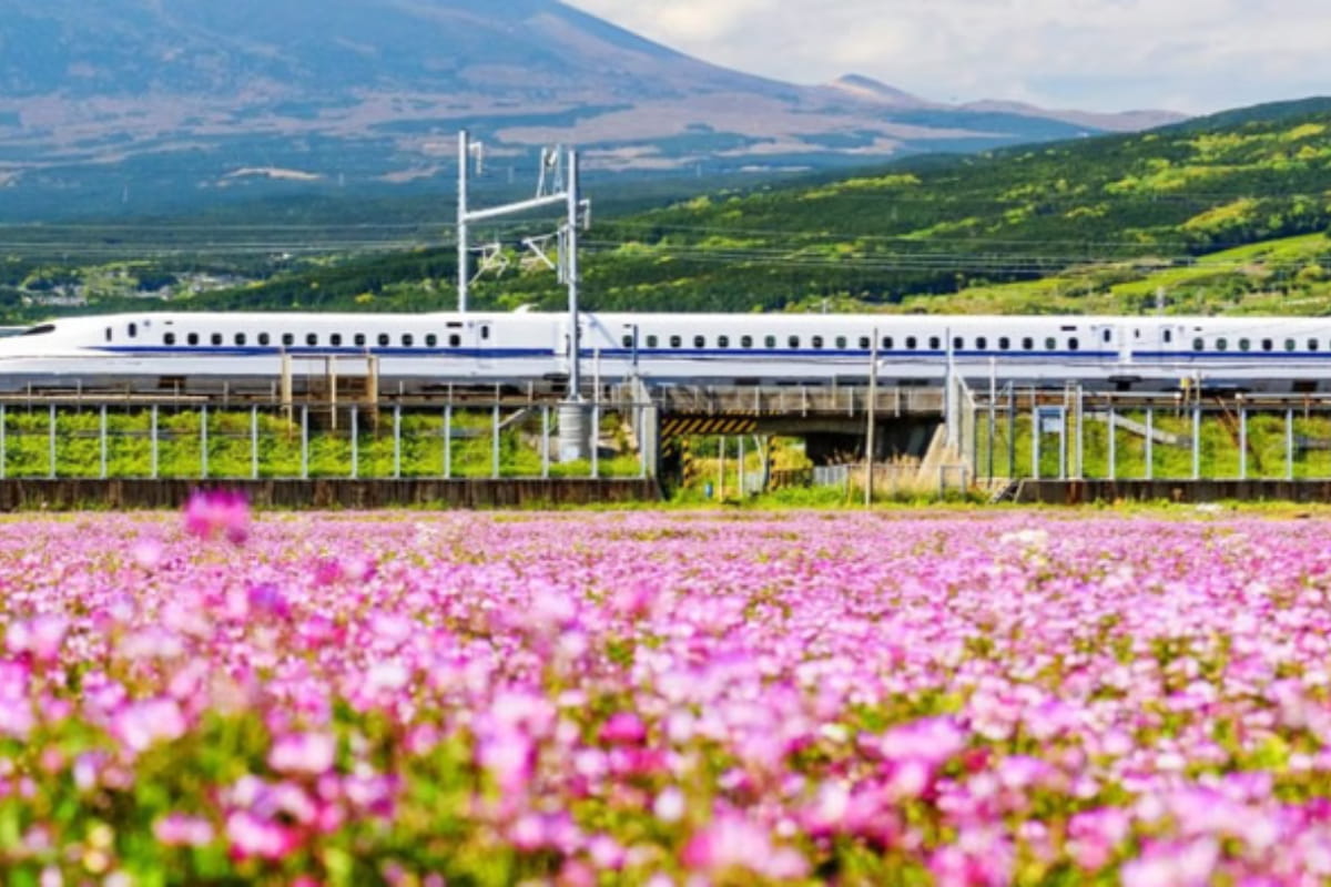 japan